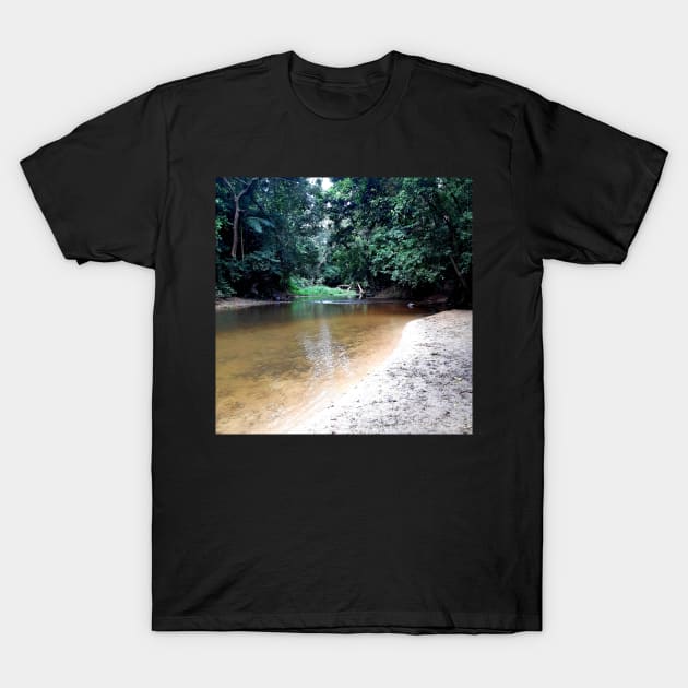 Goomboora Park Creek T-Shirt by Felicity-K